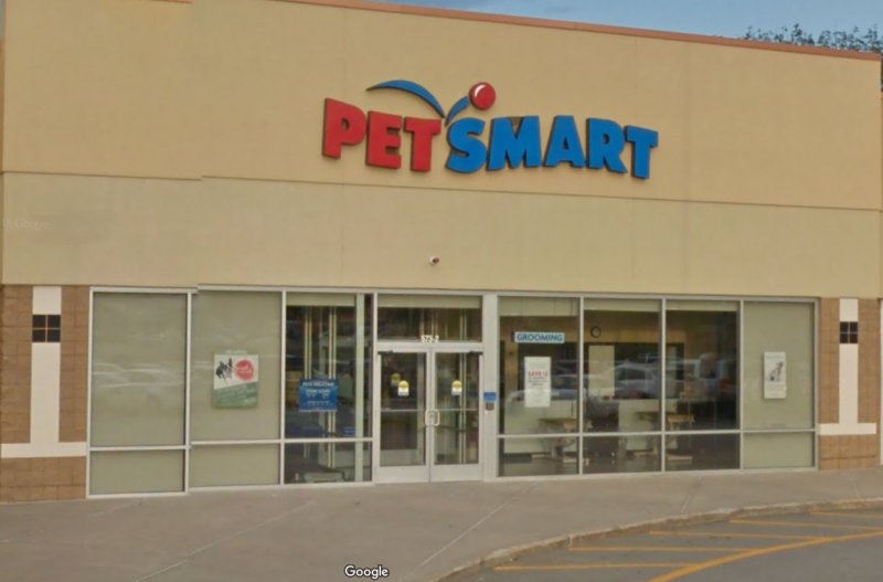 Where Do PetSmart Get Its Animals? (Fish, Reptiles, Birds + More)