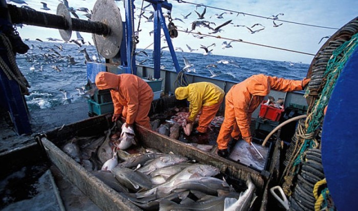 UPDATE: Biden's 'Marine Monument' decision features commercial fishing ban, News