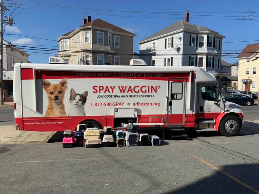 Animal Rescue League Comes To Fall River To Spay/neuter Pets For Free ...